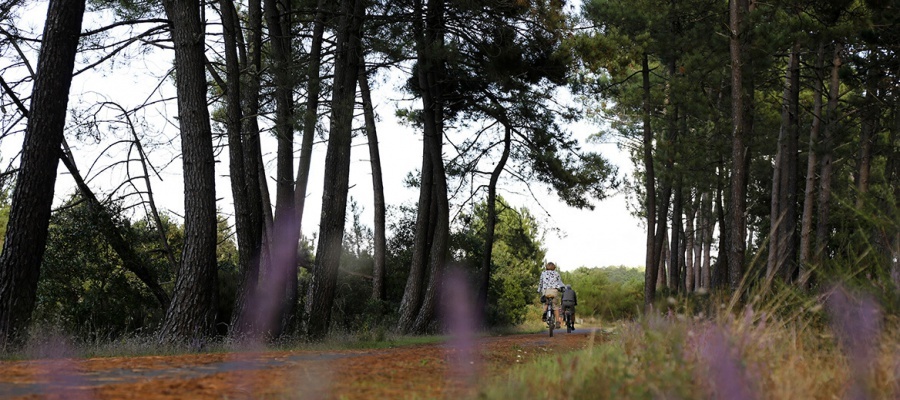 Pistes cyclables Carcans